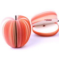 NA17 custom fruit shaped note pads